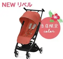 ★サイベックス★LIBELLE★ハイビスカス 箱付き、入れ物付き 説明書付き