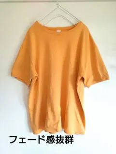 FRUITSボディ　無地リブTシャツ