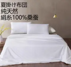 シルク 夏秋用 掛け布団 真綿(シルク) 絹100% 薄い 軽い 無地 ダブル