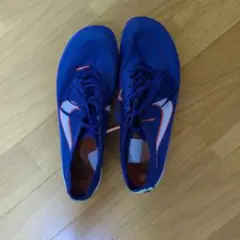 ナイキドラゴンフライ