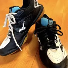 【期間限定・割引中】ミズノ バドミントンシューズ ウエーブファングSS