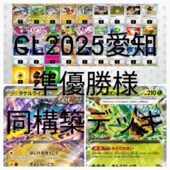 ★タケルライコex・オーガポンex★構築済みデッキ