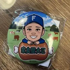 奈良間大己　缶バッジ　ガチャ