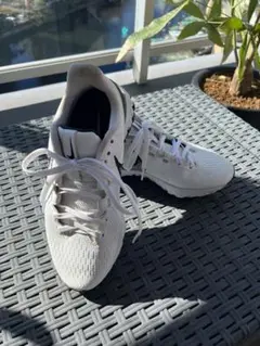 NIKE❤︎レディースゴルフシューズ(22.5cm)