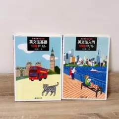 駿台受験シリーズ2冊セット