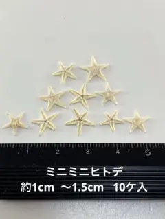 NO.23ss-187 ミニミニヒトデ　約1cm 〜1.5cm 10ケ入