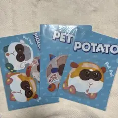道とん堀コラボ PUI PUI モルカー クリアファイル 3枚セット