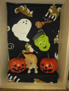 柴犬ボックス　ハロウィン
