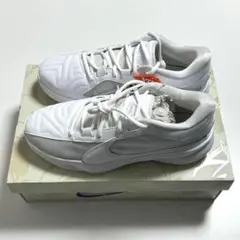 Item thumbnail for item 3eea791a-2a71-4394-a520-5a47e18b193a