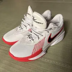 Item thumbnail for item 3370727e-064f-43bc-b283-f7f832921514