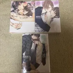 美しい彼　小説　3巻セット