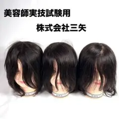 Item thumbnail for item 07971108-0ebc-4fff-828c-75d6a2930b17