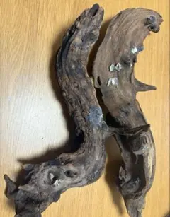 流木2個セット