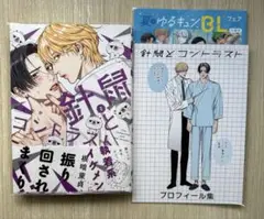 針鼠とコントラスト2 アニメイト特典付 ほとなか