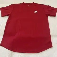 EGOZARU レッド Tシャツ M