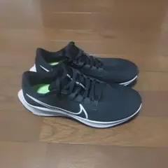 NIKE ナイキ ペガサス38