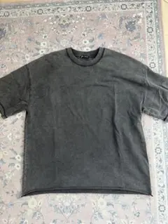ZARA ザラ　Tシャツ