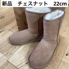 新品 UGG アグ クラシックショート チェスナット US5 22cm