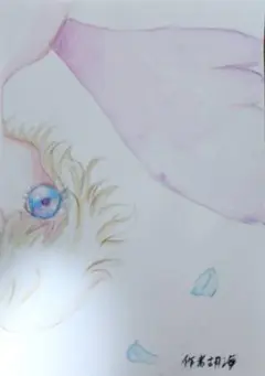 おめめシリーズ
