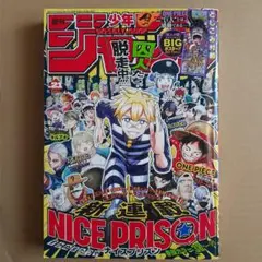 Item thumbnail for item 4327212a-8b0c-4b4c-a1bb-3f7836552425