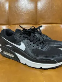 Nike Air Max 90 25.0cm ウィメンズ
