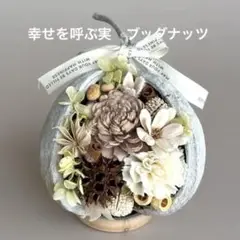幸せをよぶブッダナッツ