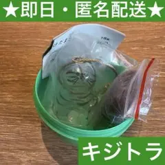【正規品】 【早い者勝ち】キジトラうちの子のけだまだま#C-pla限定 【匿名】