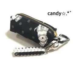 ゴルフボールケース ミニティーホルダー付き✩.*˚ミニチュアシュナウザー