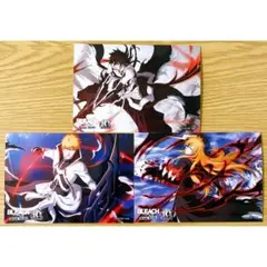 BLEACH ブレソル ランダムプリント ブロマイド 黒崎一護 10周年 3種