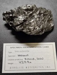 m68519638708_1.jpg?1741261718
