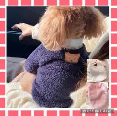 わんちゃんかわいいふわふわくまさんチェックフリース