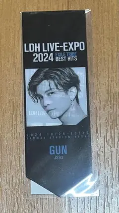 LIVE EXPO 2024　岩田剛典　クリアヴィジュアルシート　ステッカー