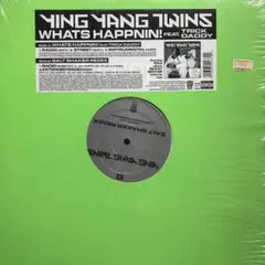 YING YANG TWINS / WHATS HAPPNIN! 12レコード