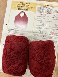 透かし柄が目を引く！編み物作成キット カーニバルレッドのパイナップル編みバッグ