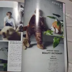山田涼介 BEAUTY DICTIONARY VOL.10