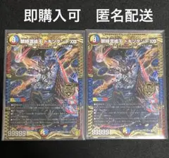 禁時混成王ドキンダンテxii　2枚　デュエマ