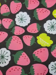 希少◆kippis　Mansikka/いちご ②　オックス　約50cm