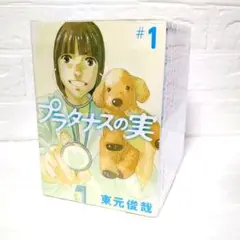全巻セット プラタナスの実 東元俊哉