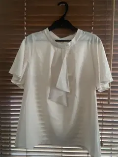 Item thumbnail for item 034b68c5-e697-49cf-a131-6f9a3e8edb6e