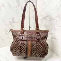 【希少✨】CELINE セリーヌ❤️マカダム トリオンフ クロコ ハンドバッグ