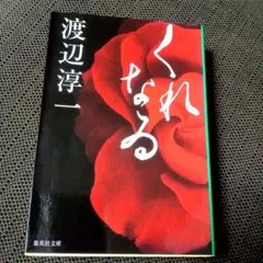 何処へ・くれなゐ　渡辺淳一　2冊