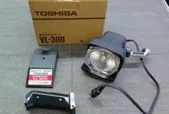 Item thumbnail for item a5c55341-22e9-44dd-a5dc-7043af858bce