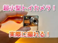 Item thumbnail for item 06888a17-f151-4ee1-9676-949a65e9450a