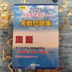 駿台 大学共通テスト実践問題集