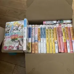 ライトノベル　文庫本　19冊セット