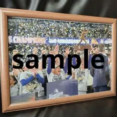 Item thumbnail for item 2ab7dbbd-bec7-4632-ba0e-4c74f09ca253