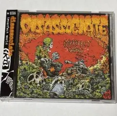 DISASSOCIATE / Imperfect World