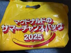 マクドナルド　サマーチャンスバッグ2025　内容物欠けなし