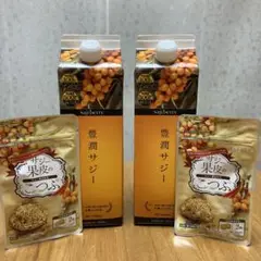フィネス 豊潤サジー 1000ml 2本