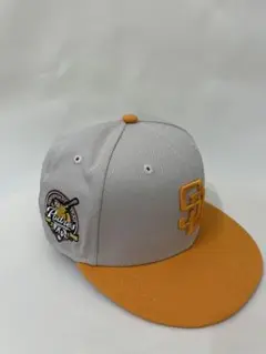 Item thumbnail for item 38131501-f31f-4694-aac0-c58348274db9